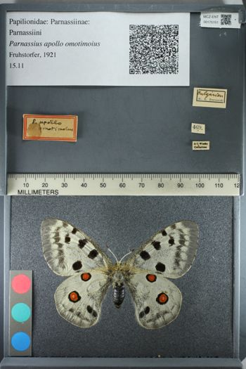 Media type: image;   Entomology 175151